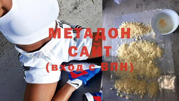шишки Горняк