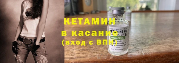 шишки Горняк