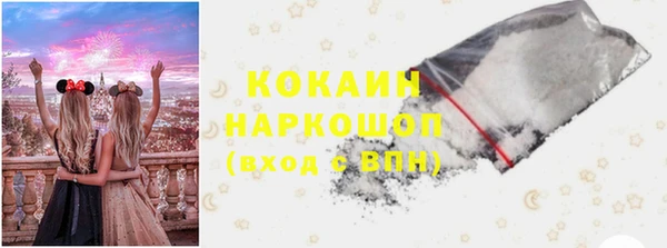 шишки Горняк