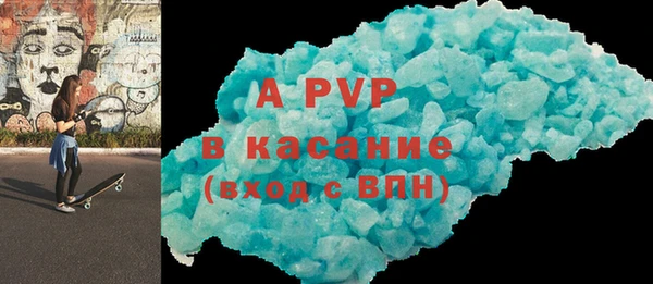 СК Туринск