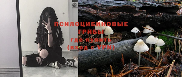 apvp Михайловск