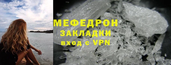 шишки Горняк