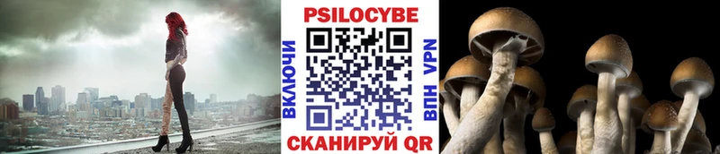 где купить наркотик  Первомайск  Псилоцибиновые грибы Magic Shrooms 